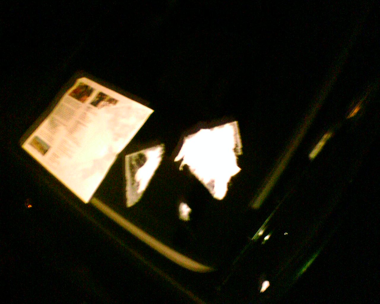 Stupid campaign workers
