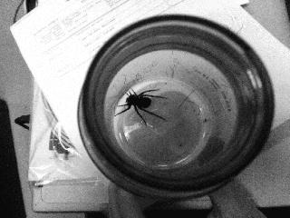 Things you find at the colo
